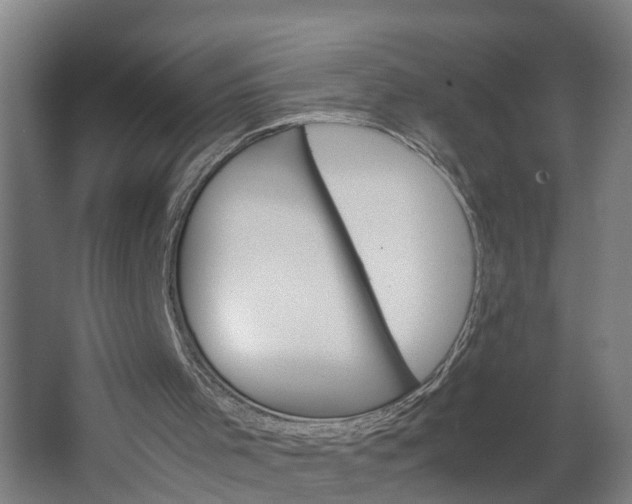 X0000062620001200601041017