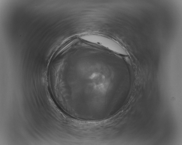 X0000062620002200601041017