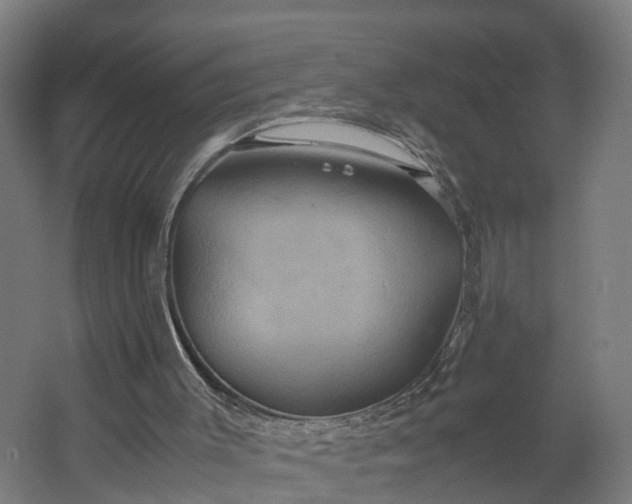 X0000062620003200601041017