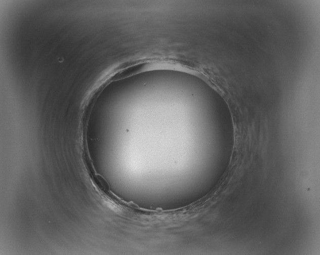 X0000062620005200601041017