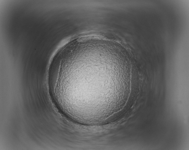 X0000062620006200601041017