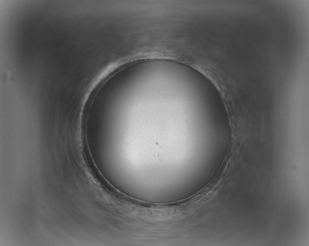 X0000062620008200601041017