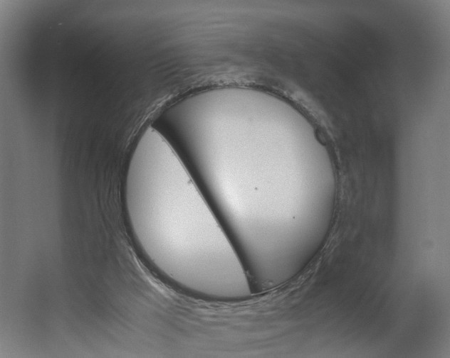 X0000062620009200601041017