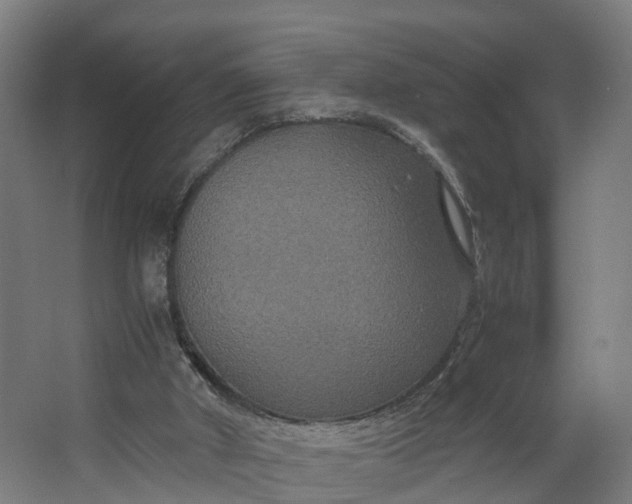 X0000062620010200601041017