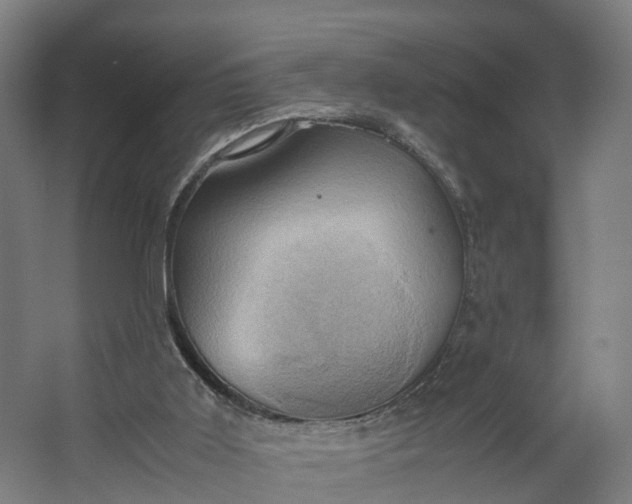 X0000062620011200601041017