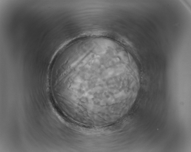 X0000062620012200601041017