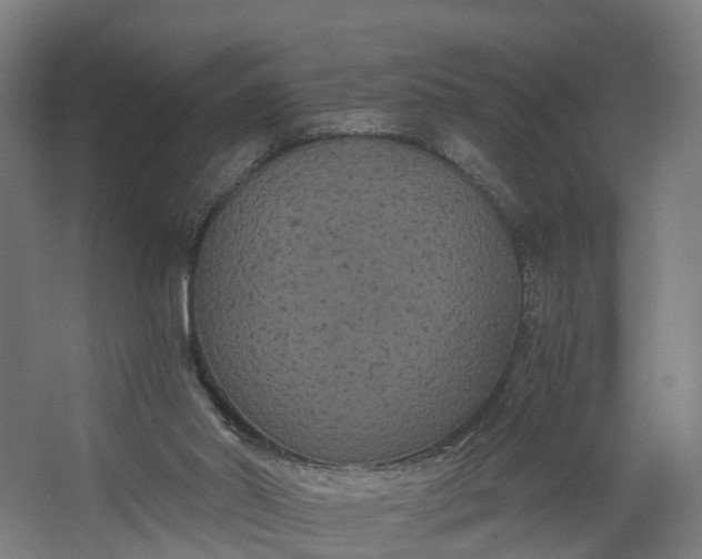 X0000062620014200601041017