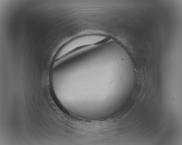 X0000062620015200601041017