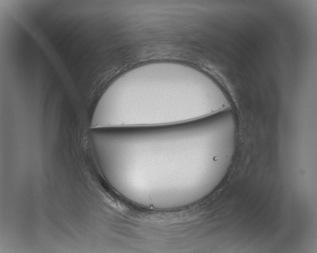 X0000062620017200601041017