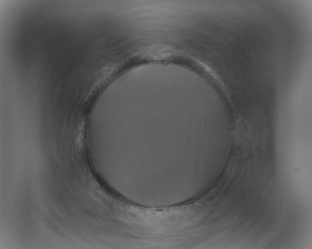 X0000062620018200601041017