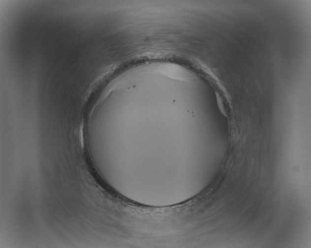 X0000062620019200601041017