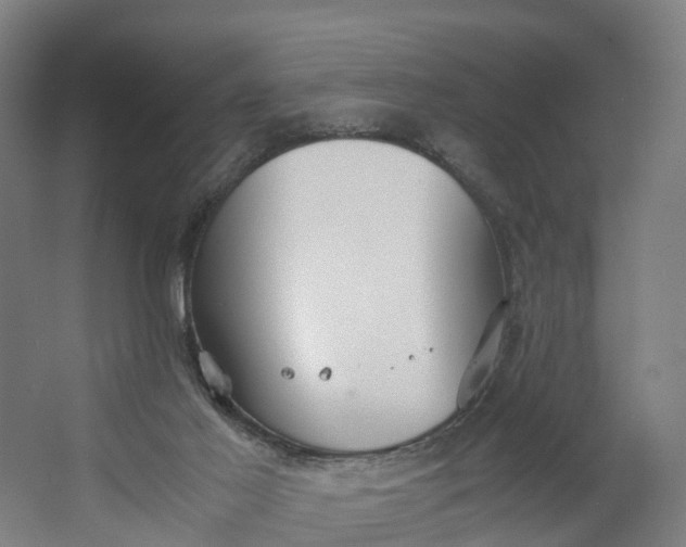 X0000062620021200601041017