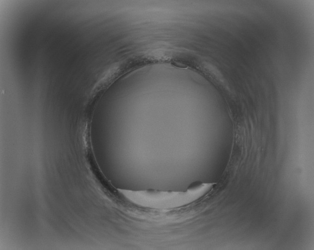 X0000062620023200601041017