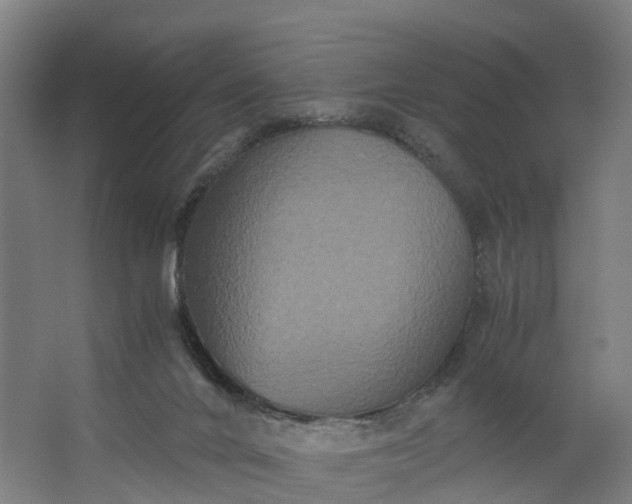 X0000062620024200601041017