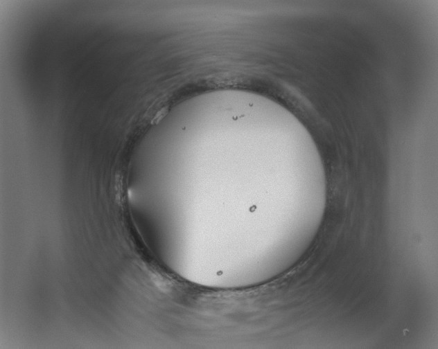 X0000062620025200601041017