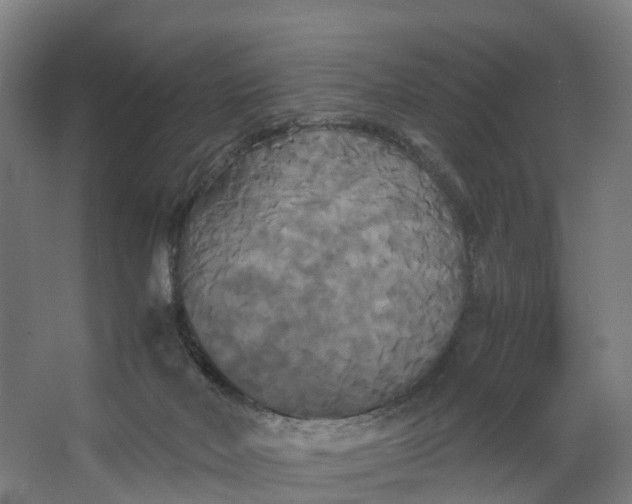 X0000062620026200601041017