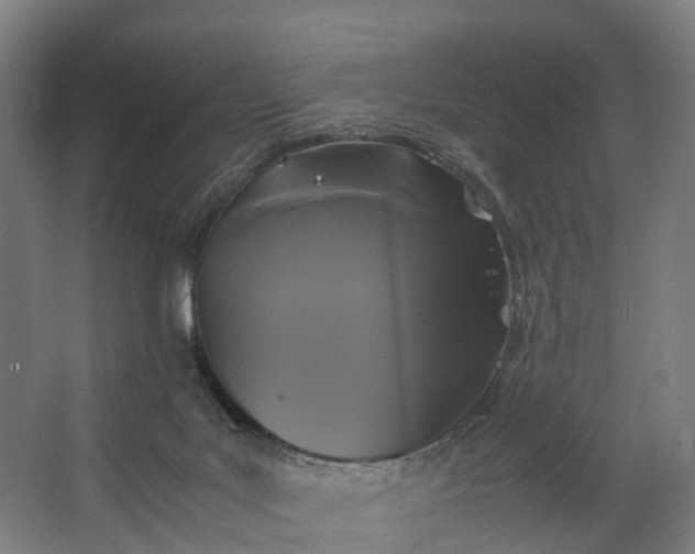 X0000062620027200601041017