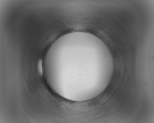 X0000062620028200601041017