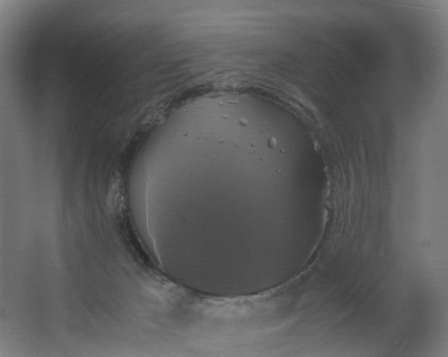 X0000062620029200601041017