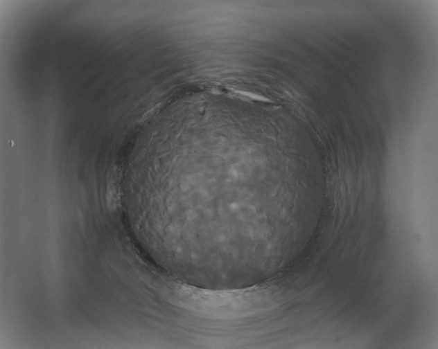 X0000062620030200601041017