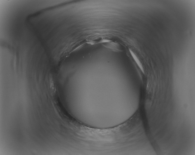 X0000062620031200601041017