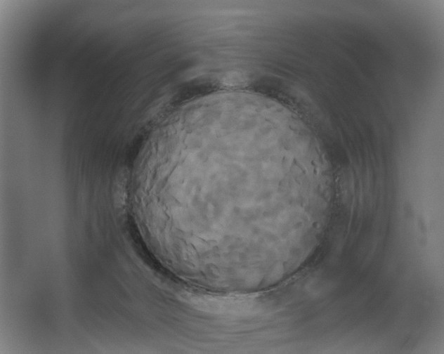 X0000062620032200601041017