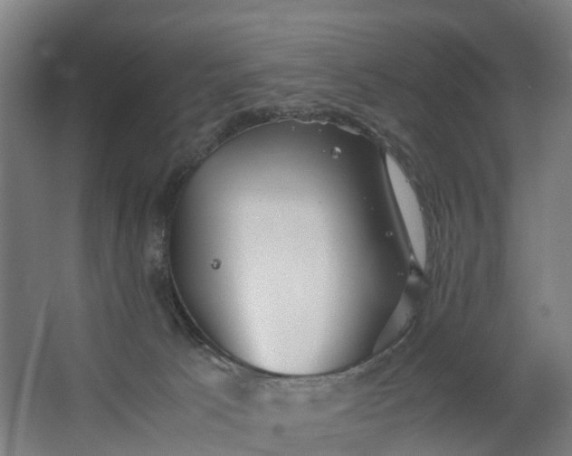 X0000062620033200601041017