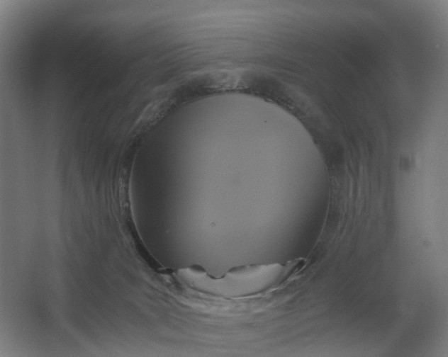 X0000062620035200601041017