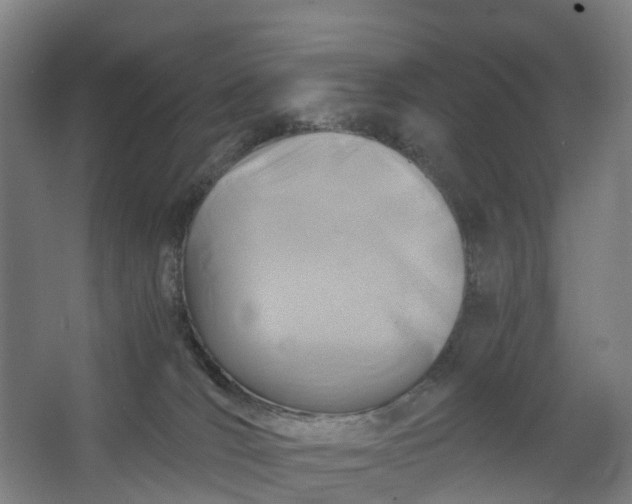 X0000062620036200601041017