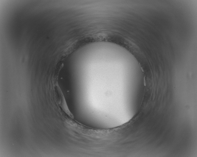 X0000062620037200601041017