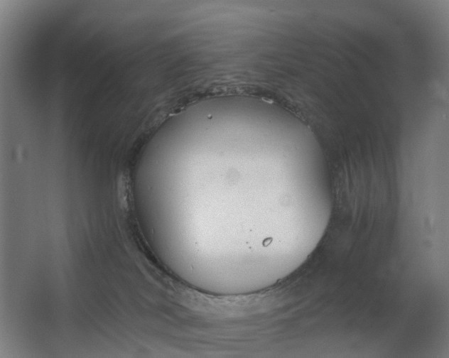 X0000062620038200601041017