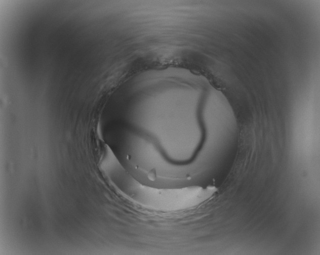 X0000062620039200601041017