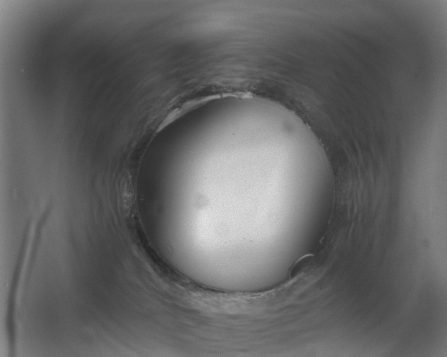 X0000062620040200601041016