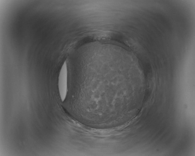 X0000062620041200601041016