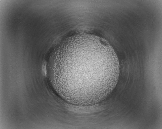 X0000062620042200601041016