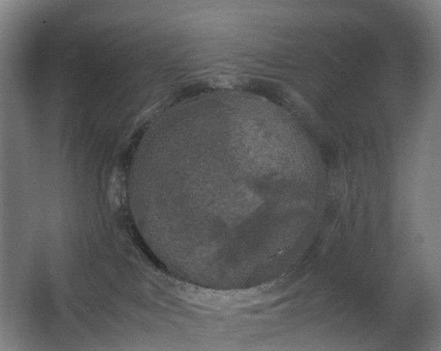 X0000062620043200601041016