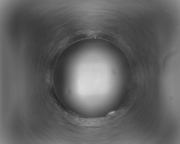 X0000062620044200601041016