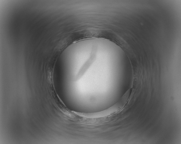 X0000062620045200601041016