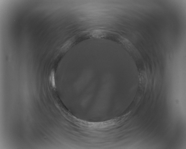 X0000062620046200601041016