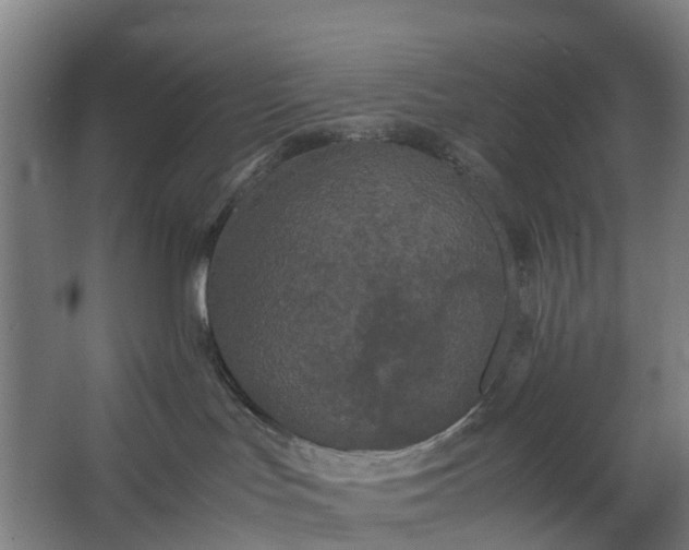 X0000062620047200601041016