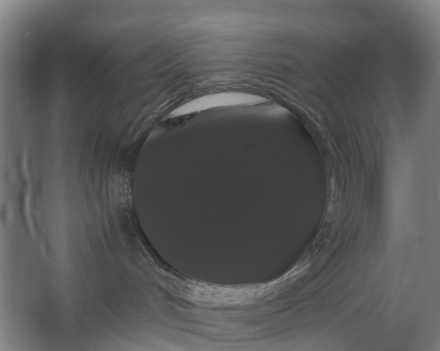 X0000062620048200601041016