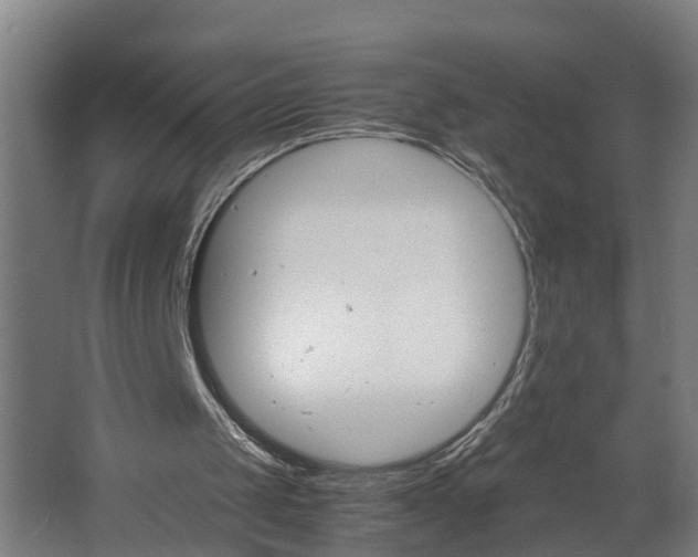 X0000062620049200601041016