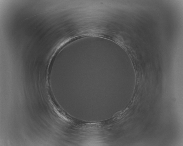 X0000062620050200601041016