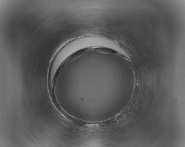 X0000062620052200601041016