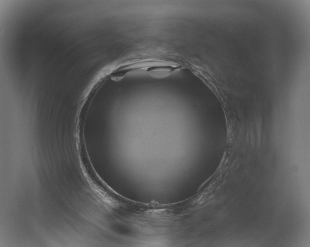 X0000062620054200601041016