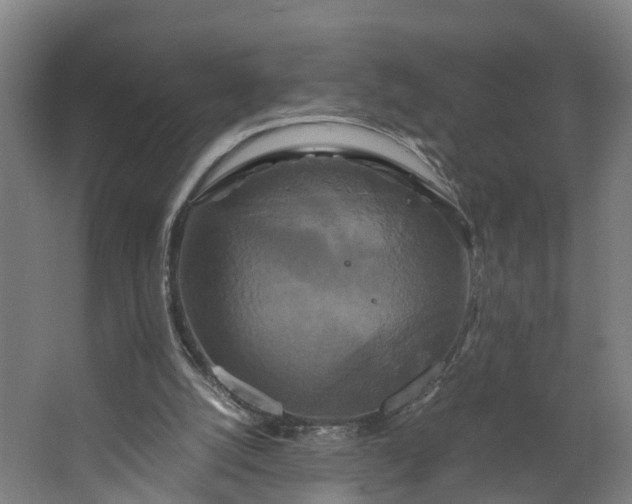 X0000062620056200601041016