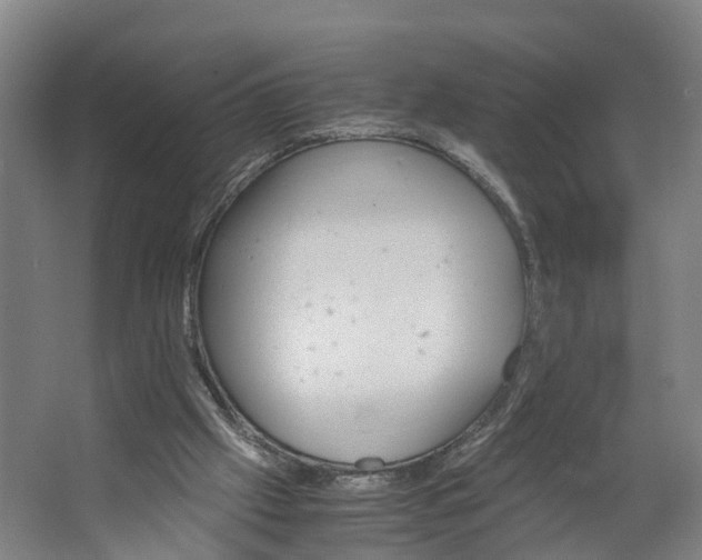 X0000062620057200601041016