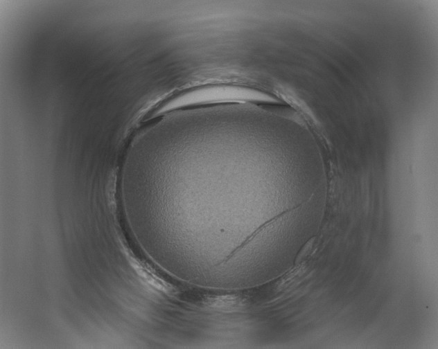 X0000062620058200601041016