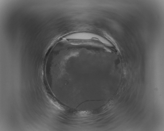 X0000062620059200601041016