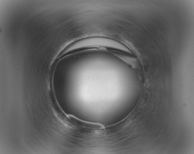 X0000062620060200601041016